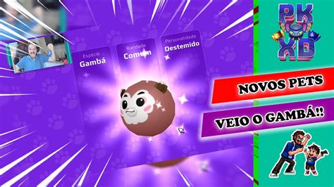 Pk Xd Novos Pets E Pets Pods Conseguindo O Gamb Youtube