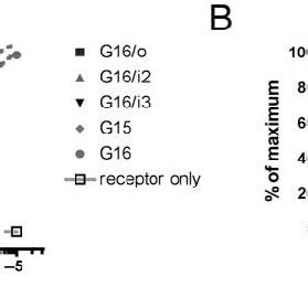 A Dose Dependent Serotonin Ht Induced Stimulation Of Calcium