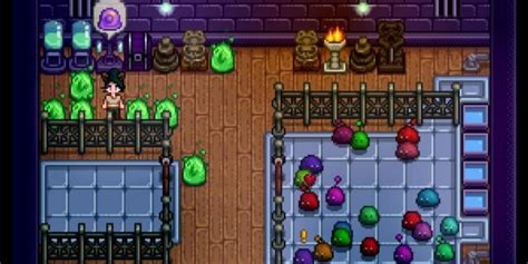 Stardew Valley A Complete Guide To The Slime Hutch