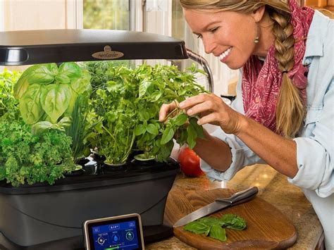 5 Veggies You Can Grow Indoors!