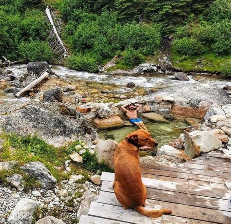 Top 96 Hot Springs In Canada Mapped