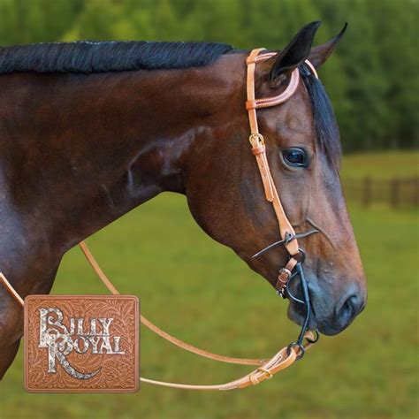 Billy Royal® Harness Leather Reins With Buckle Ends 58 Schneiders