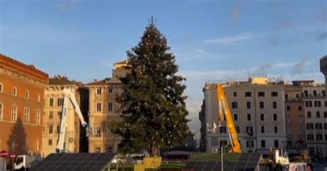 L Albero Di Natale A Roma A Impatto Zero Il Tempo