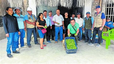 Productores piuranos exigen detener ingreso de limón colombiano