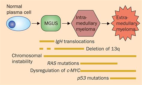 New Insights Into The Pathophysiology Of Multiple Myeloma The Lancet Oncology