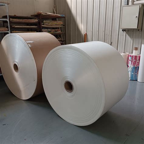 Paper Cup Paper Food Grade PE Coated Raw Material Roll Wholesale