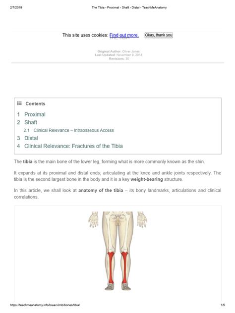 The Tibia - Proximal - Shaft - Distal - TeachMeAnatomy | PDF | Knee ...