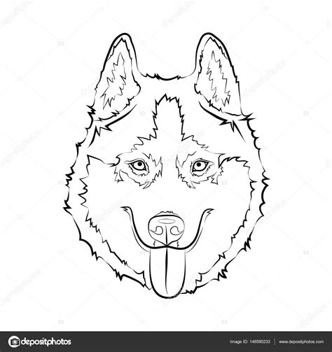 Husky Face Drawing at GetDrawings | Free download