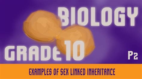 Genetics Examples Of Sex Linked Inheritance Criss Cross Mutation