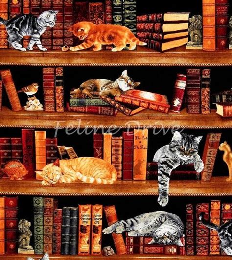 Cat Fabric Library Cats Timeless Treasures Sold By The Yard Etsy In