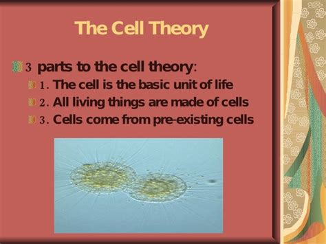 Cell Theory