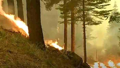 Dixie Tercer Incendio Forestal Más Grande De La Historia De California