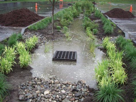 Bio Retention Facility Rain Garden Landscape Design Sustainable