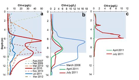 Vertical Profiles Of Chlorophyll A Chl A Concentration Across The