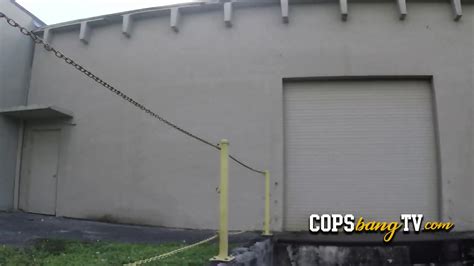 Suspect Is Caught After Trespassing Into A Private Property By Milf Cops