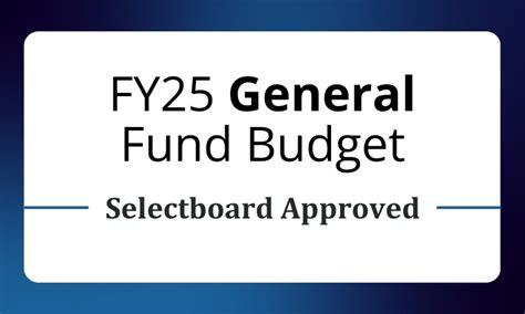 Fy25 Budget