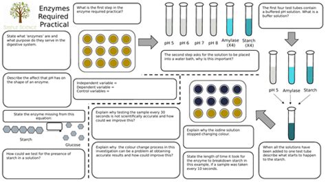 Enzymes Required Practical Mat Aqa Gcse Biology Teaching Resources