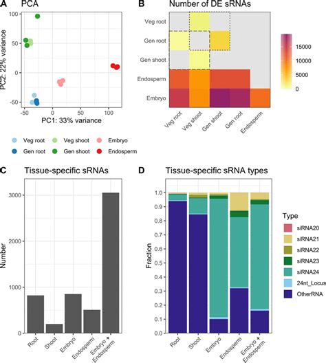 Tissue Specific SRNA Expression A Principal Component Analysis PCA