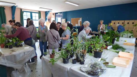 Bourses Aux Plantes A A B B