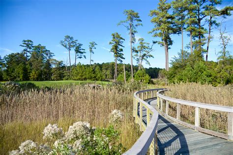 Nature Center and Protected Nature Reserve - The Peninsula