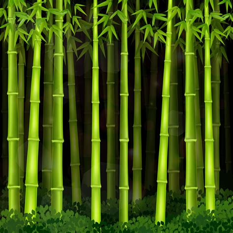 Vector Illustration Of Background Bamboo Forest At Night 6794934 Vector Art At Vecteezy