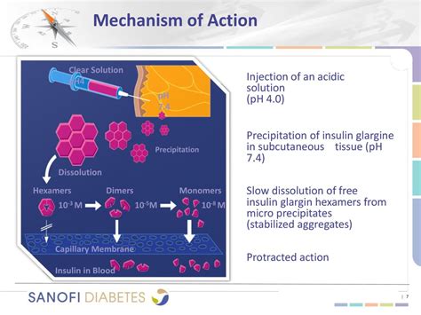 Comparison Of Basal Insulins Initiation And Titration Of Lantus Ppt