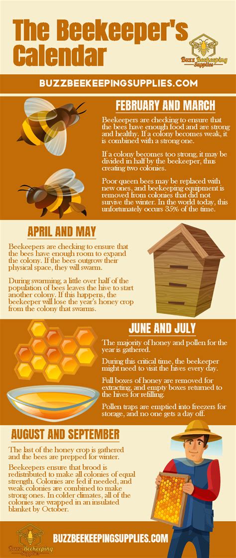 The Beekeeper S Calendar Buzz Beekeeping Supplies