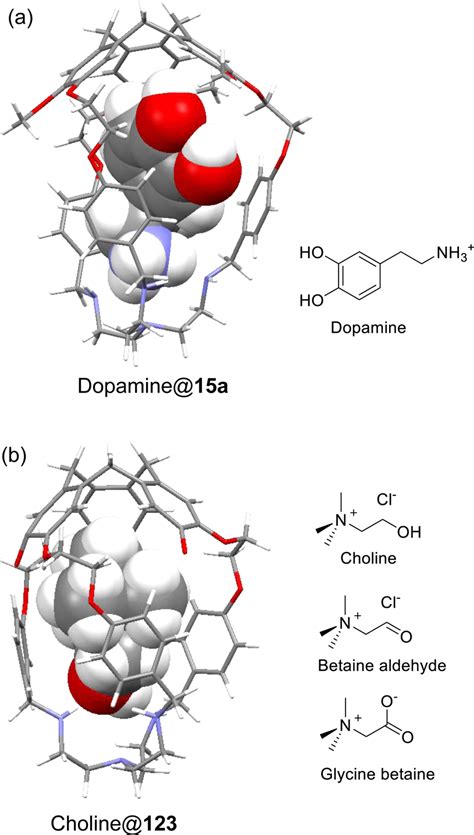 A Dft Optimized Structure Of Dopamine 15a And Structure Of Dopamine Download Scientific