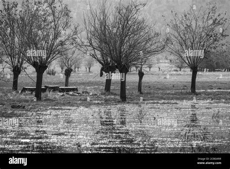 Hochwasser Hochwasser Hochwasser Hochwasser Schwarzweiß Stockfotos Und