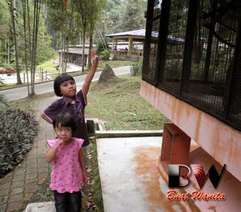 Tempat Menarik Di Selangor Taman Botani Bukit Cerakah Shah Alam