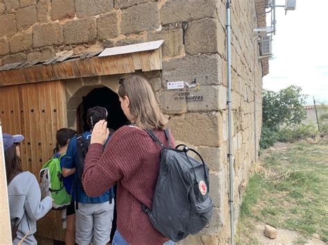 M S De Buitres Leonados Comiendo A Tus Pies En La Pedriza De Santa