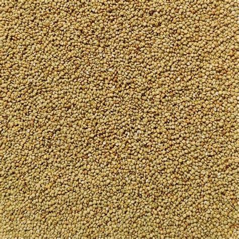 Dried Green Proso Millet Seeds Packaging Type Loose Gluten Free At