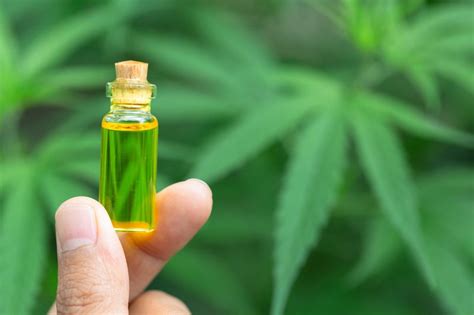 Jaký Je Rozdíl Mezi Izolátem Cbd A Destilátem Cbd Naturecan