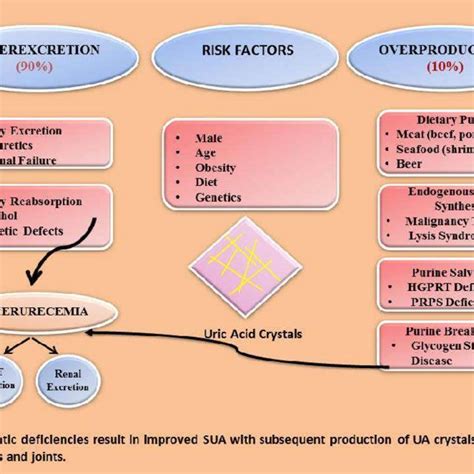 Overproduction And Underexcretion Of Uric Acid With Underlying Risk