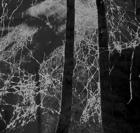EVOLve_the soul scan bay: COBWEB