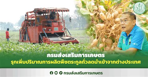 กรมส่งเสริมการเกษตรรุกเพิ่มปริมาณการผลิตพืชตระกูลถั่วลดนำเข้าจากต่าง