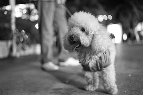 Leica M9 and Monochrom in Miami Beach | Red Dot Forum