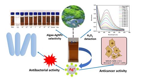 Nanomaterials Free Full Text Green Synthesis Characterization Antimicrobial Anti Cancer