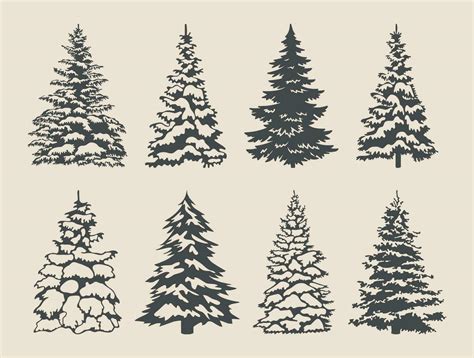 Christmas pine trees silhouette set 36171912 Vector Art at Vecteezy