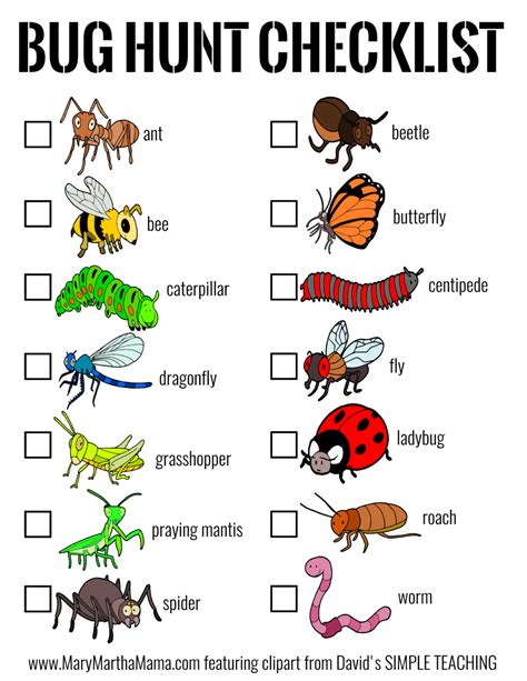 Bug Hunt Checklist Insects Theme Preschool Insects Preschool Bugs