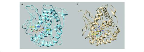 Best Pose Of A Luteolin And B Quercetin Docked To Tyrosinase