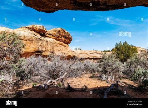 Cave Spring Trail 1000 Year Old Ancestral Site And Cowboy Camp