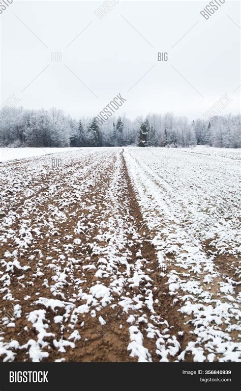 Snow On Ploughed Field Image Photo Free Trial Bigstock