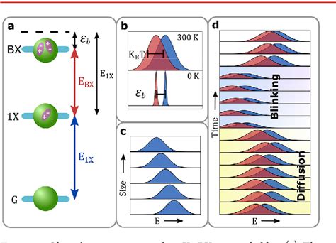 Figure 1 from Heralded Spectroscopy Reveals Exciton − Exciton ...