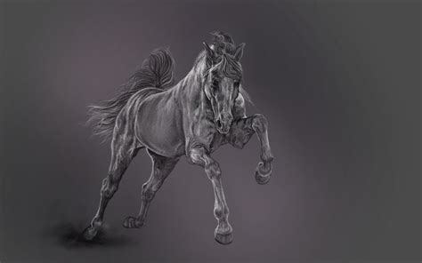 Artstation Digital Horse Study