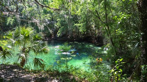 Hiking Deland Biking Paddling Camping Florida Hikes