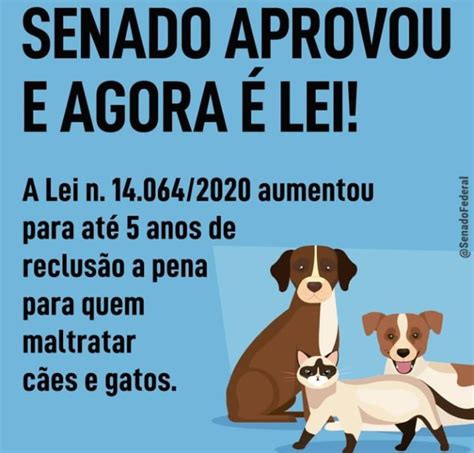 Iguatama Agora Senado Aprovou E A Lei Sans O Aumentou Para At Anos