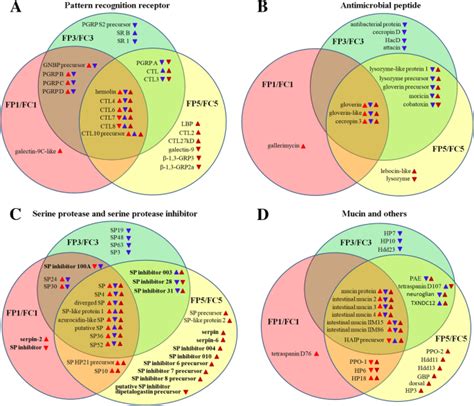 Molecular Characterization Of Immune Responses Of Helicoverpa Armigera