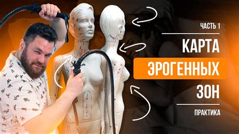 Карта эрогенных зон часть 1 - теория - YouTube
