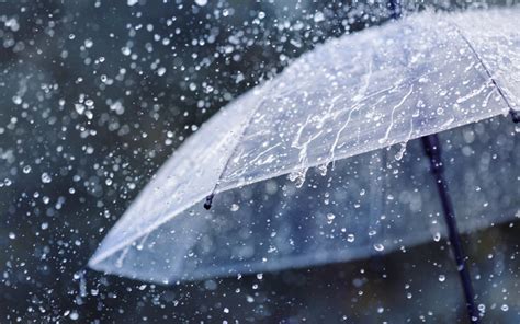 Revolutionary Rain Panels: Harvesting Energy from Raindrops for ...